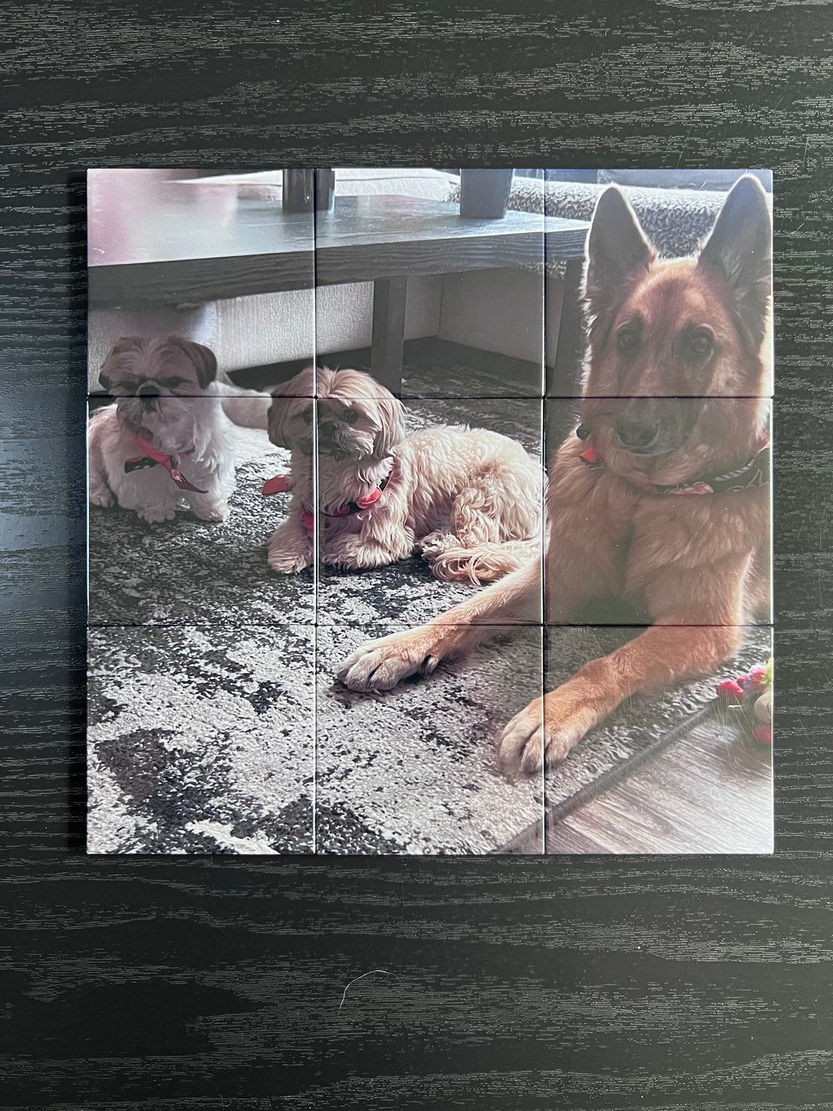 Nine Magnet Photo Puzzle