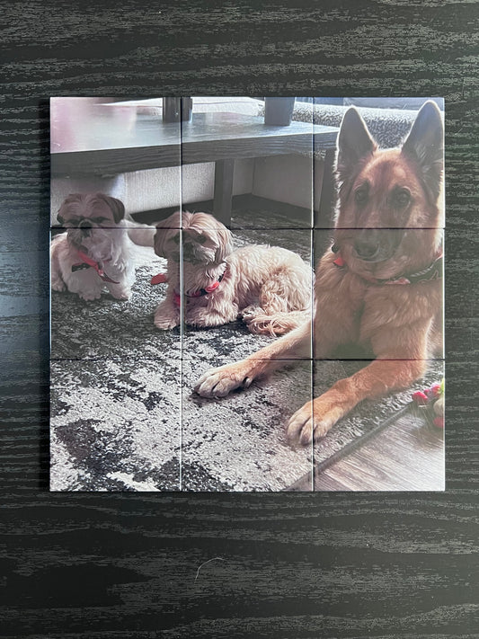 Nine Magnet Photo Puzzle
