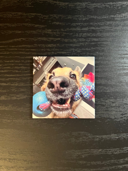 Single Custom Magnet